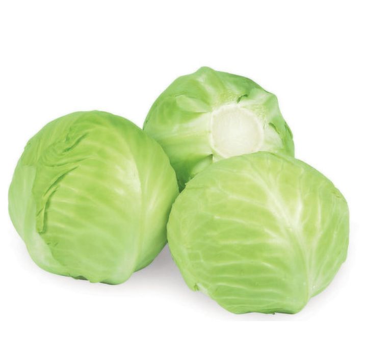 Fresh Cabbage